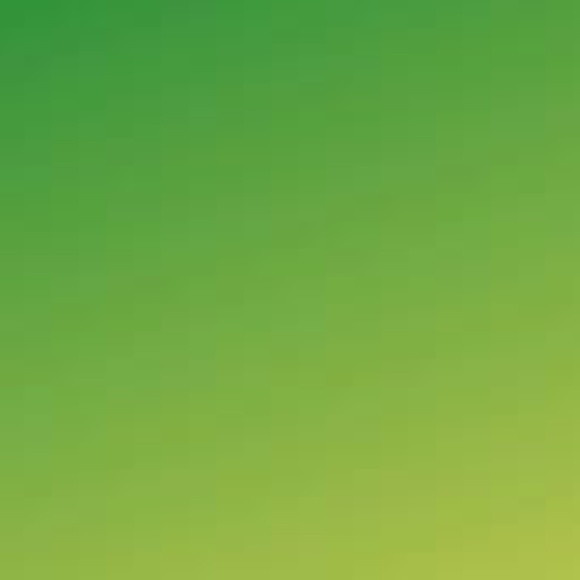 NFS - Picture 1 of 1